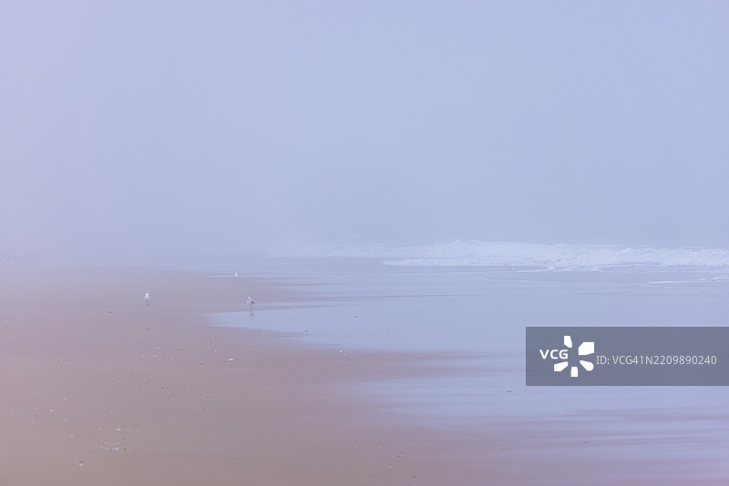 弗吉尼亚州桑德桥海滩的雾蒙蒙的早晨图片素材