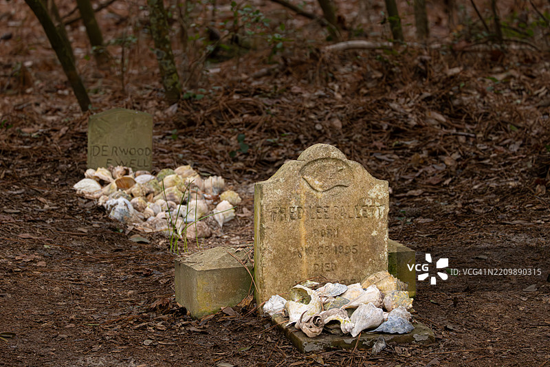 儿童墓碑与贝壳供品，华什伍兹卫理公会教堂墓地，虚假海角州图片素材