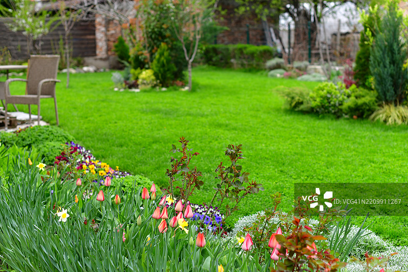 一个充满活力的春季花园绽放出色彩，郁金香、黄水仙和三色堇环绕着郁郁葱葱的草坪。一个带桌椅的露台区域提供了一个放松和享受宁静环境的地方。各种灌木和树木增添了深度和质感。图片素材