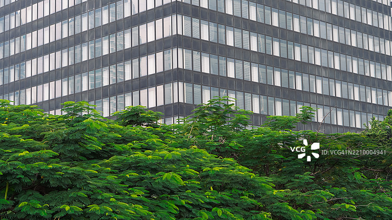 城市绿洲：屋顶花园与现代建筑图片素材