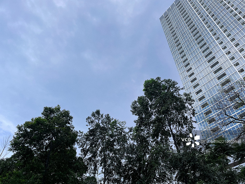 高层办公楼被绿地环绕 - 自然与工业的共存图片素材