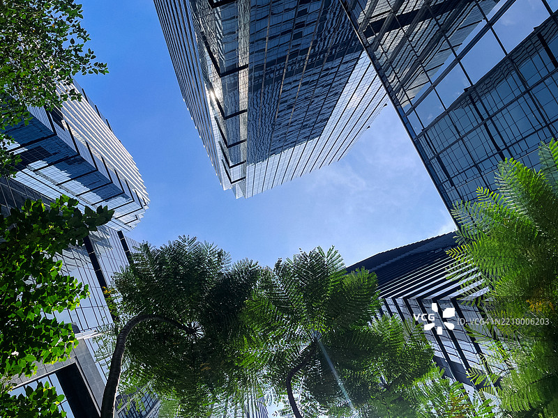 雅加达的玻璃摩天大楼与热带植物 – 城市和谐的倒影图片素材