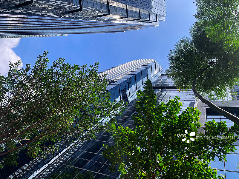 雅加达的玻璃摩天大楼与热带植被 - 城市和谐的倒影图片素材