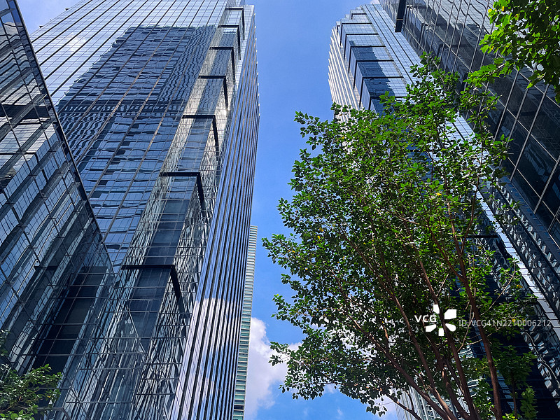雅加达的玻璃摩天大楼与热带植物 – 城市和谐的倒影图片素材