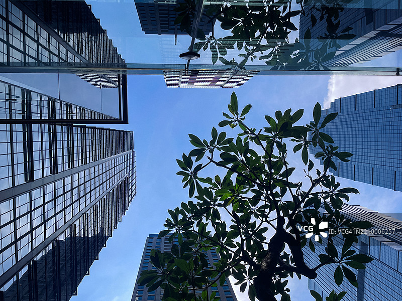 雅加达的玻璃摩天大楼与热带植被 - 城市和谐的倒影图片素材