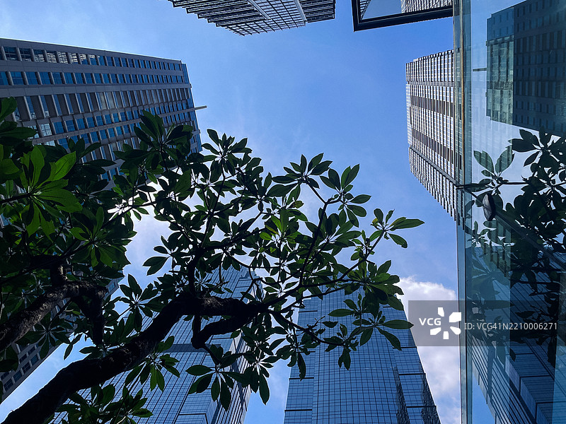 雅加达的玻璃摩天大楼与热带植被 - 城市和谐的倒影图片素材
