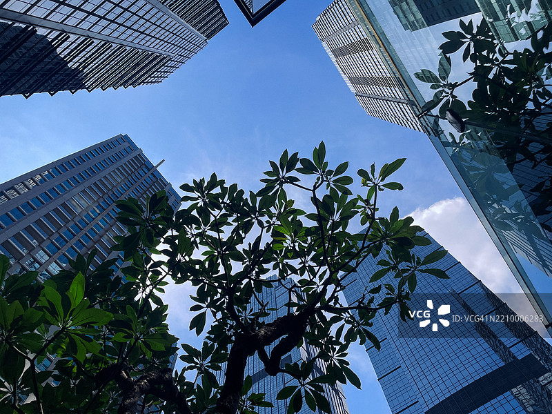 雅加达的玻璃摩天大楼与热带植物 – 城市和谐的倒影图片素材