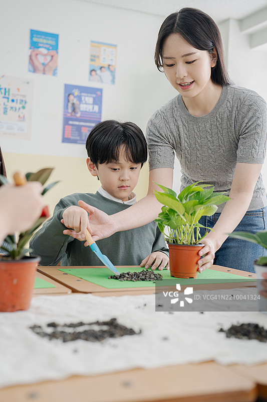 小学，基础教育，庆祝，植树节，植树图片素材