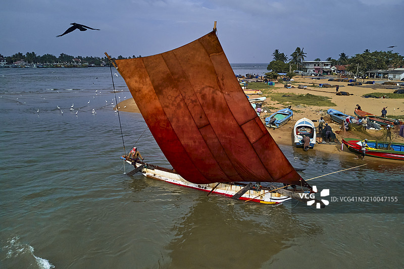斯里兰卡，西部省，甘帕哈区，尼甘布，返回捕鱼的双体帆船图片素材