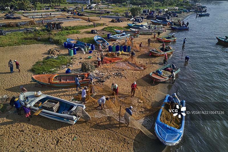 斯里兰卡，西部省，尼甘布，捕鱼归来，整理渔网图片素材