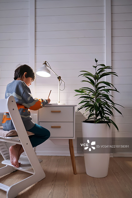 一个10岁的男孩在桌子上做作业。旁边有一盆地面植物。图片素材
