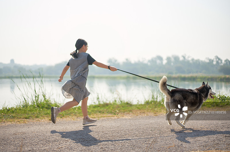 阳光明媚的快乐一天 - 女孩与她的狗一起奔跑图片素材
