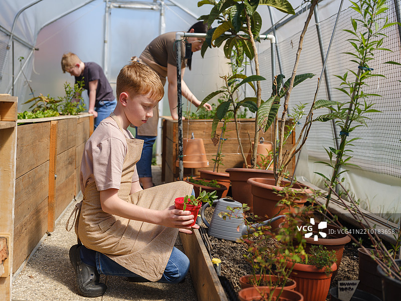 男孩在温室里学习种植知识图片素材