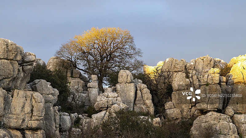奇特的石灰岩岩石形成,埃尔托卡尔自然保护区,安特克拉的托卡尔,马拉加省,安达卢西亚,西班牙,欧洲图片素材
