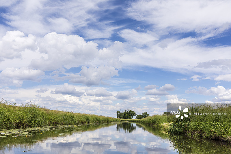 大罗德河畔盛开的睡莲（Nuphar），位于德国萨克森州格罗森海因的维尔登海因附近图片素材