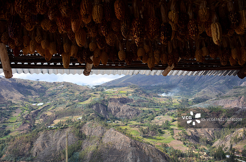 在秘鲁晾晒玉米图片素材