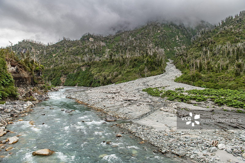 里奥布兰科的枯树和新植被，2008年查伊滕火山喷发后的烧毁森林，普马林-道格拉斯·汤普金斯国家公园，查伊滕，洛斯拉戈斯地区，巴塔哥尼亚，智利，南美洲图片素材