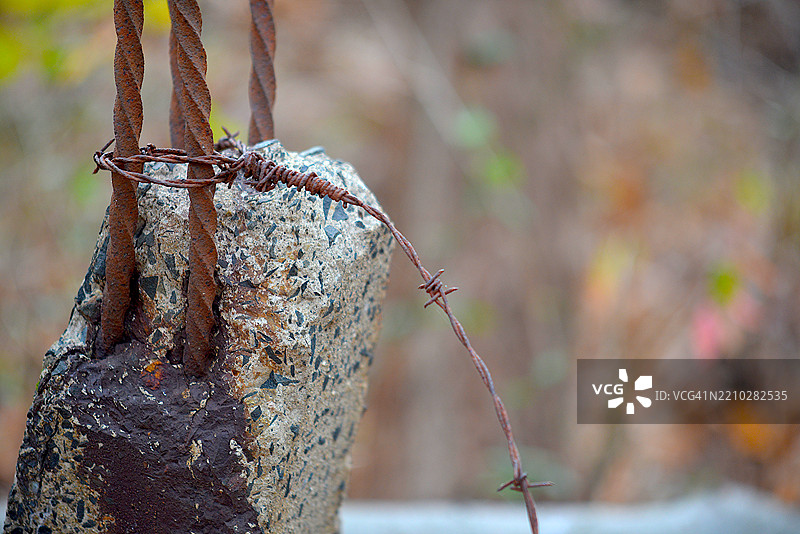 生锈的带刺铁丝图片素材
