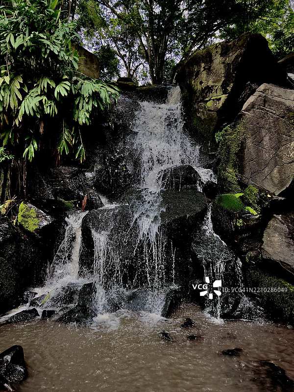 奥卢鲁阿自然小径，凯伦·肯扬风景，全景美景，田野，草地，自然，肯尼亚图片素材