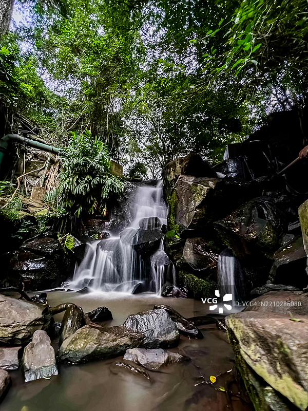 Oloolua自然小径，凯伦·肯扬风景，全景美景，田野，草地，自然图片素材