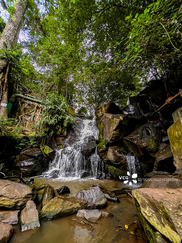 Oloolua自然小径，凯伦·肯扬风景，全景美景，田野，草地，自然图片素材