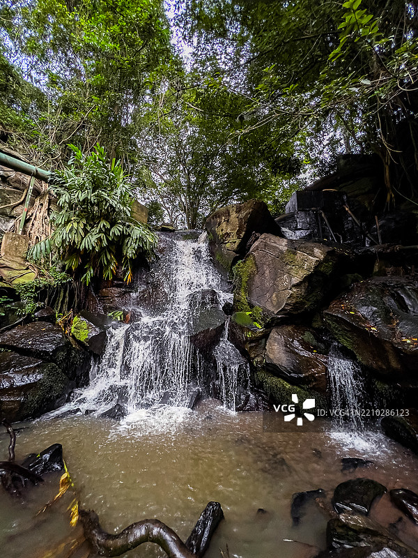 Oloolua自然小径，凯伦·肯扬风景，全景美景，田野，草地，自然图片素材