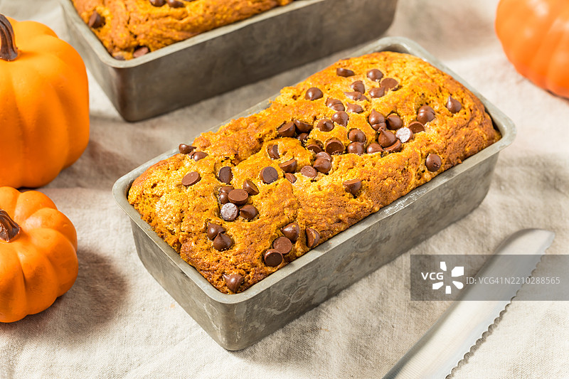 自制巧克力碎片南瓜面包， 美国图片素材