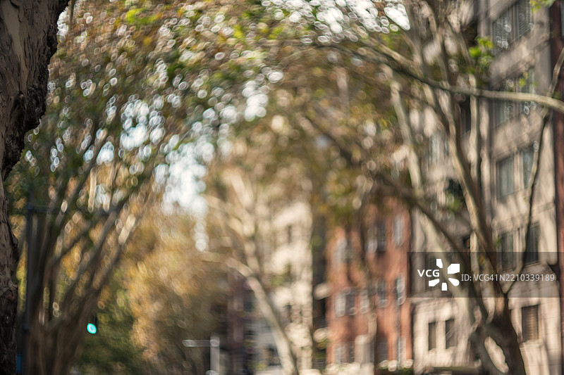 模糊的城市景观与树木图片素材