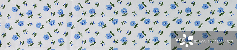 带有蓝色花朵的花卉图案面料图片素材