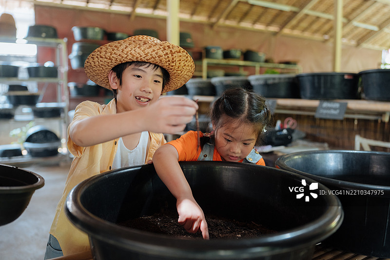 孩子们的手握着在塑料容器中收集的虫子，用于生物课项目图片素材