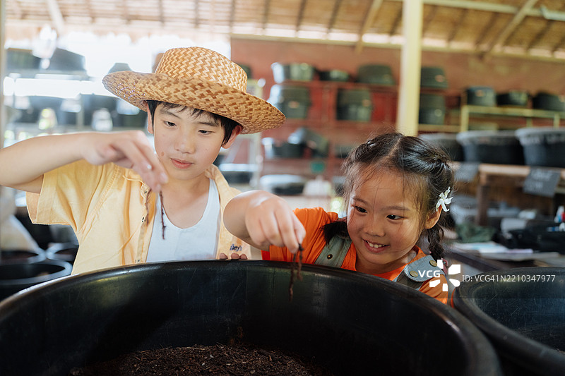 孩子们的手握着在塑料容器中收集的虫子，用于生物课项目图片素材
