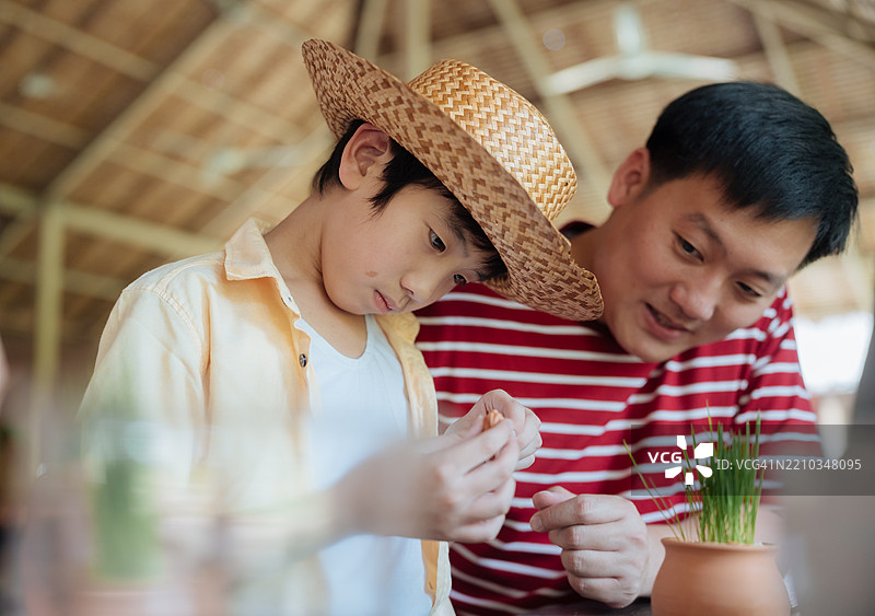 家庭志愿者快乐地为更绿色的环境种植一棵幼树图片素材
