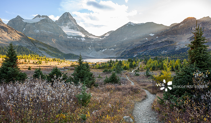 秋季苔原上的阿西尼博因山日落景色图片素材