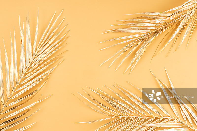 米色背景上的金色叶子纹理。图片素材