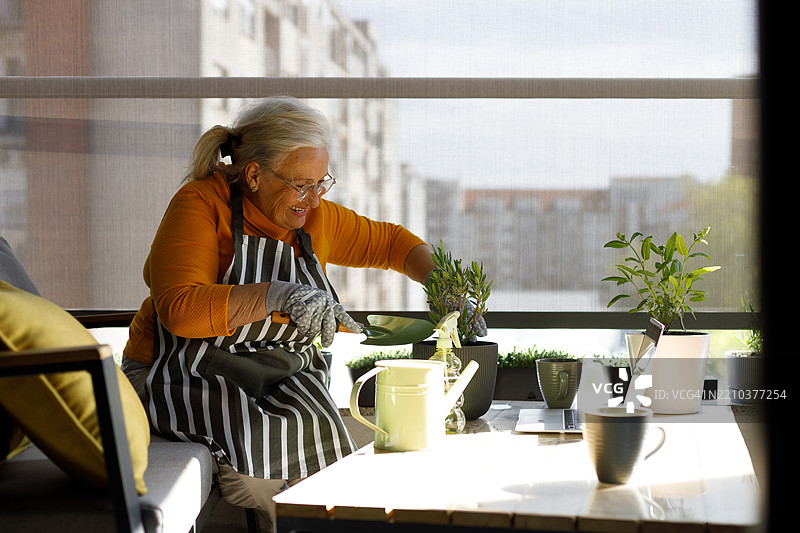 一位老年女性正在整理她的阳台花园里的植物图片素材