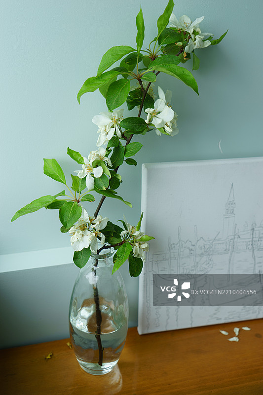 桌子上放着空白纸张的植物特写图片素材