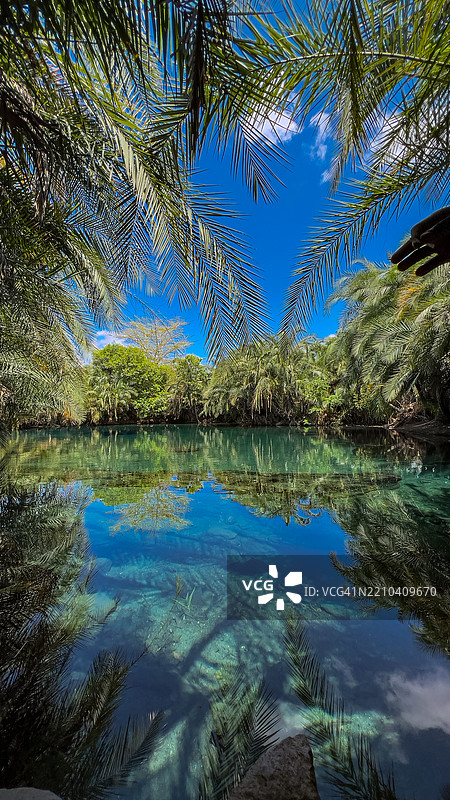 基库莱特瓦温泉，切姆卡，伦杜盖，基利曼贾罗，坦桑尼亚风景图片素材