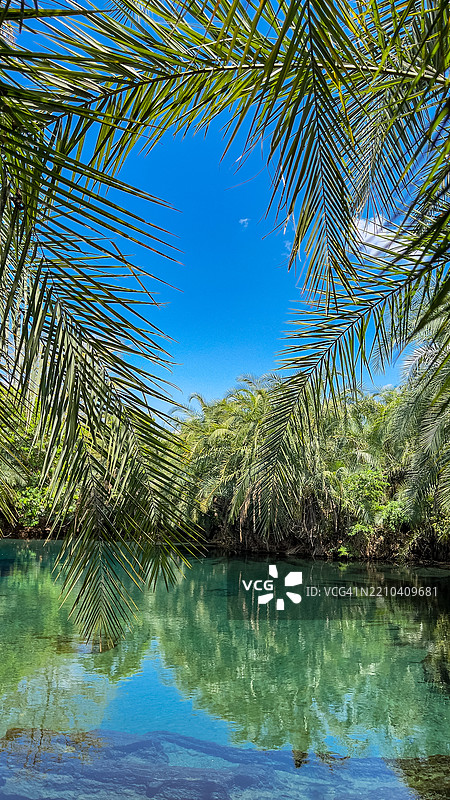 基库莱特瓦温泉，切姆卡，伦杜盖，基利曼贾罗，坦桑尼亚风景图片素材