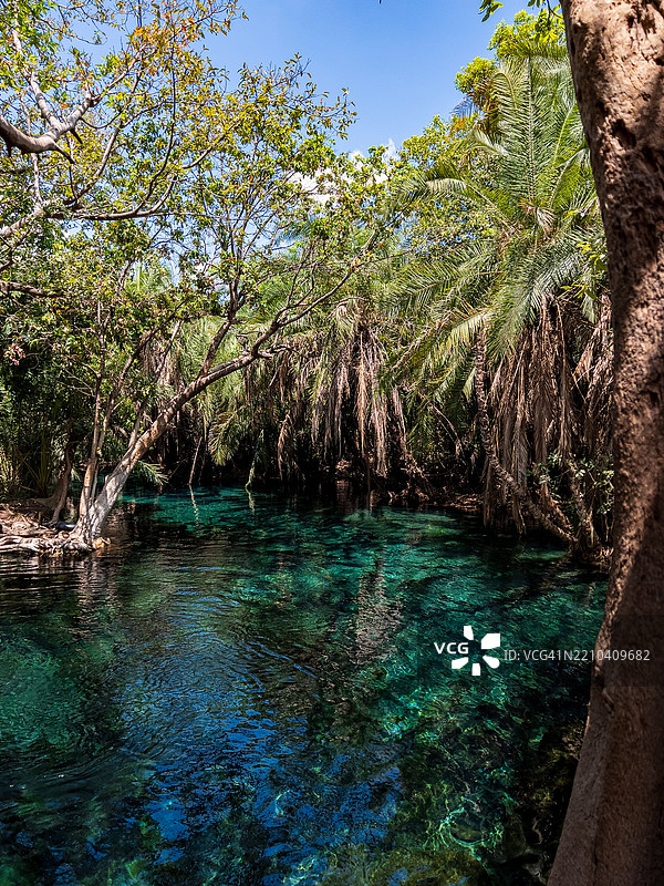 基库莱特瓦温泉，切姆卡，伦杜盖，基利曼贾罗，坦桑尼亚风景图片素材