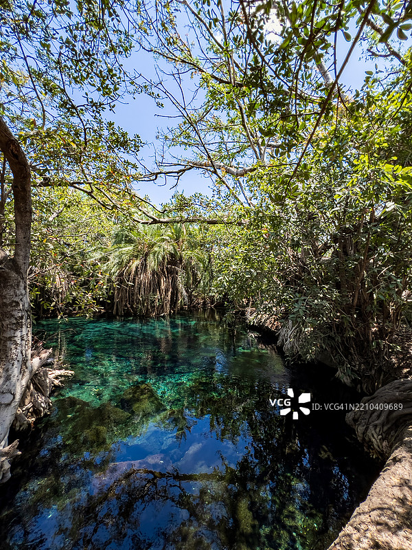 基库莱特瓦温泉，切姆卡，伦杜盖，基利曼贾罗，坦桑尼亚风景图片素材