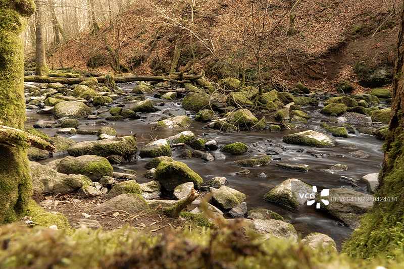 森林中溪流的美丽景色图片素材