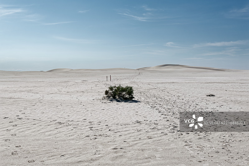 我的假期经常涉及徒步旅行，白沙国家公园，美国图片素材