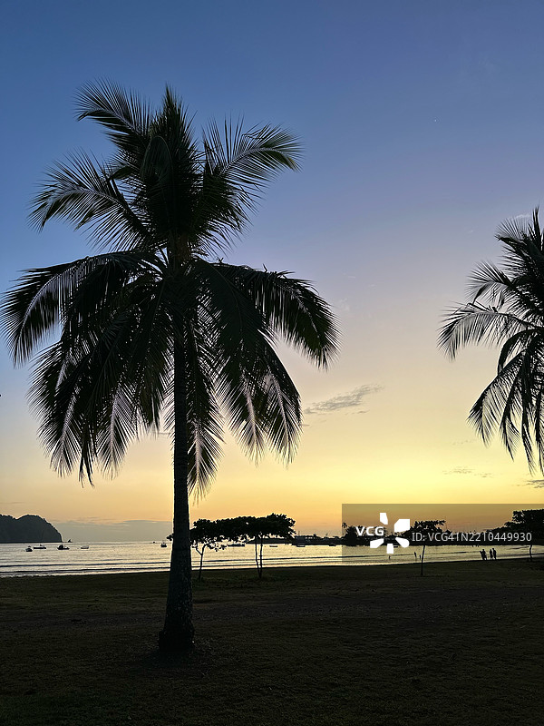 日落时分，海滩上树木的剪影映衬着天空，哈科，普ンタ雷纳斯，哥斯达黎加图片素材
