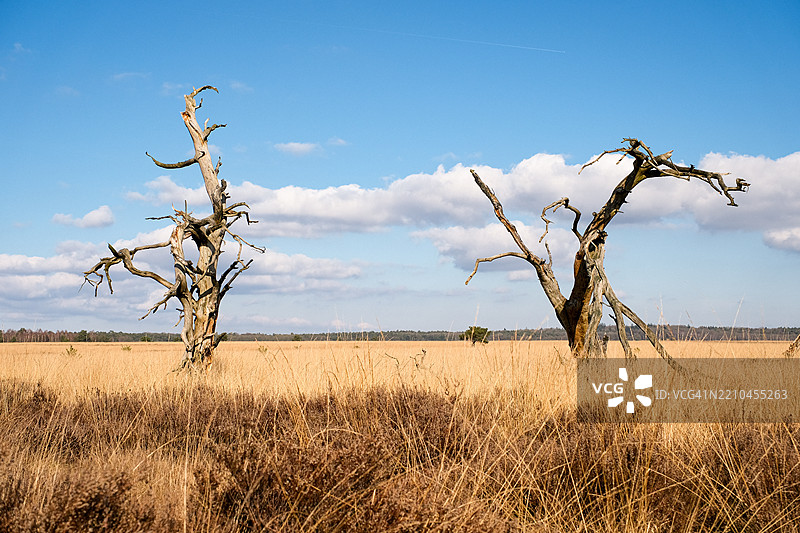 荷兰海尔德兰省霍恩德罗的天空下的田野美景图片素材