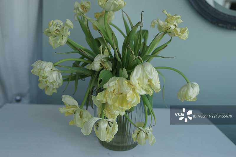 桌子上花瓶里的花特写图片素材