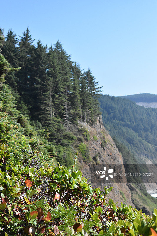 清澈天空下的山脉美景，梅尔斯角，俄勒冈州，美国图片素材