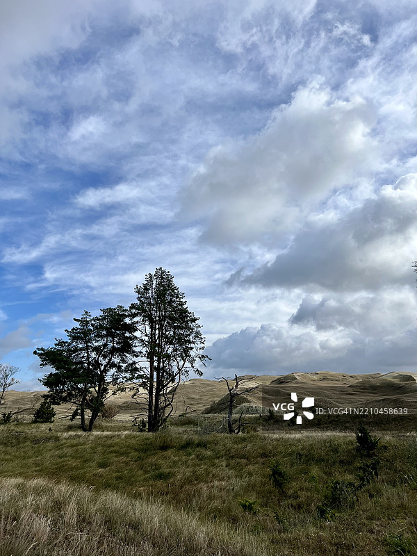 田野上的树木与天空，内林加，克莱佩达地区，立陶宛图片素材