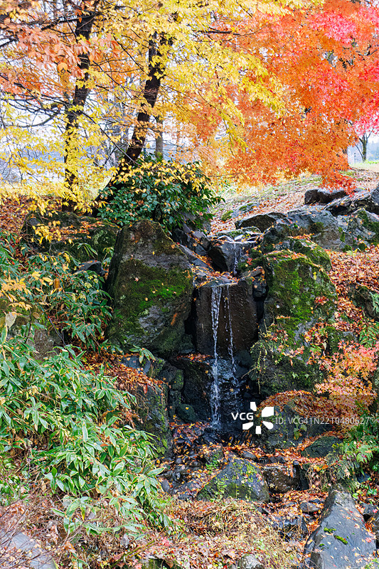 寺庙旁边的公园。池塘边有一个小瀑布。秋天的落叶正好适合这个季节。图片素材