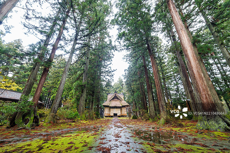 宏伟的主厅位于一片雪松森林中。它覆盖着由稻草和布料制成的雪盖,以保护木材免受雪的侵害。捐赠者的签名也写在上面。图片素材