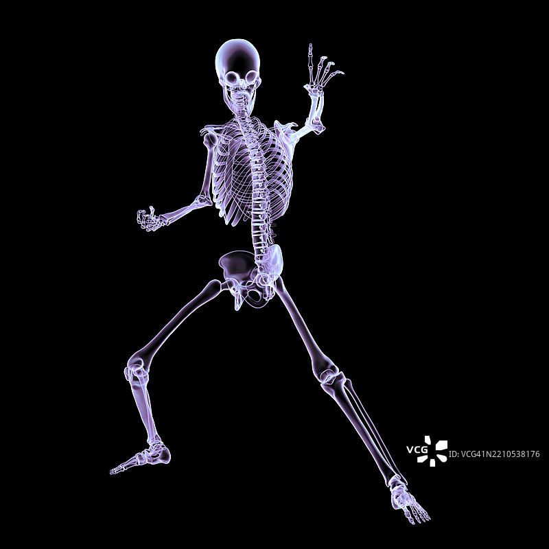 动态战斗姿势的人体骨骼插图图片素材